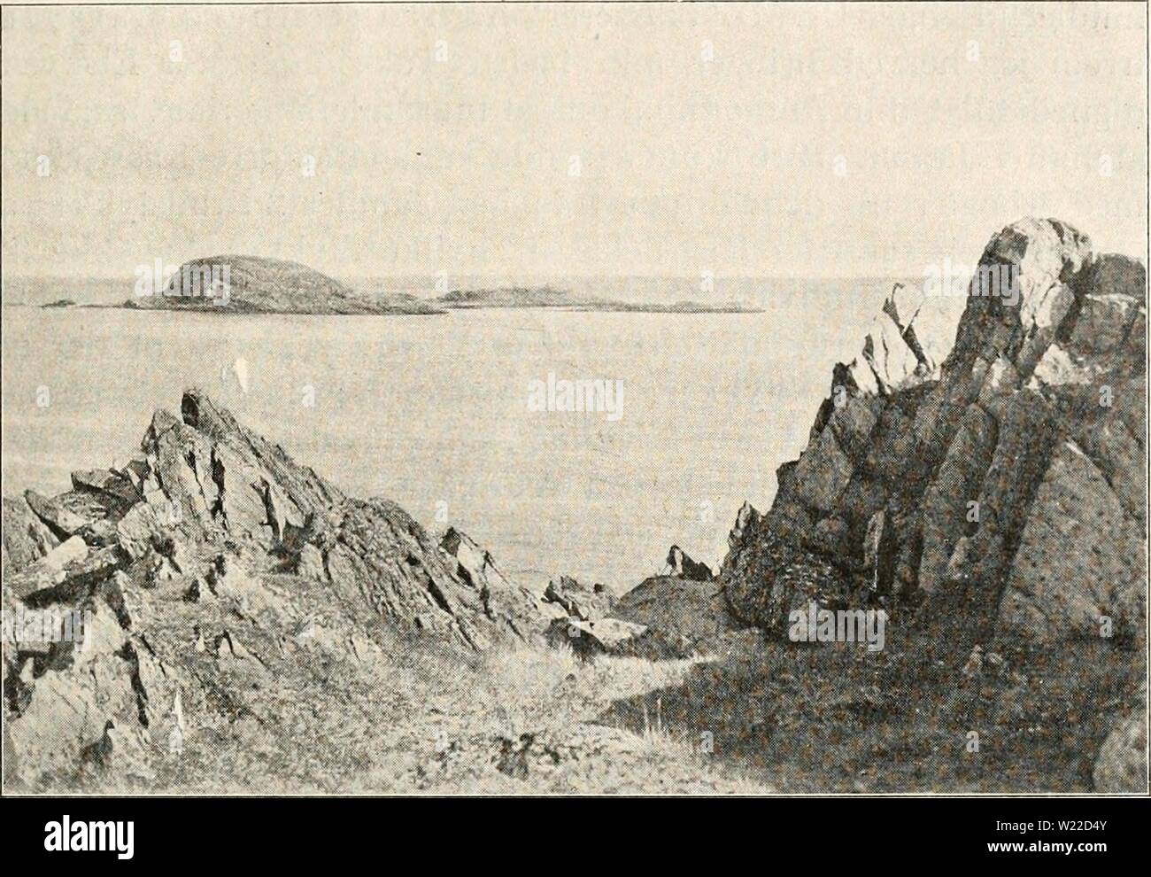 Image d'archive à partir de la page 10 de Dansk ornithologisk forenings tidsskrift (1907). Dansk ornithologisk forenings tidsskrift dans danskornithologi11 Année : 1907 Udsisit fra Vardø sur Havet mod Nord. Fonds OM GEJRFUGLEKNOGLER AF PAA VARDØ (Norge) AI- A. CHRISTIANI. MED EN TAVLE. Je l'AAP, 1914 der Vardø construit et Vejstykke, til hvilket Fyld vaesentligt benyttedes der som. Skalgrus Paa denne Vej fandt jeg i Septembre samme24 Aar Fugle- og Saelknogler øjensynligt kørt, som var med Vejfylden derop. Comme Fugleknoglerne Gejrfugl Overarm var en af im- pennis (AICA). Fylden ligheten Vej var fra Banque D'Images