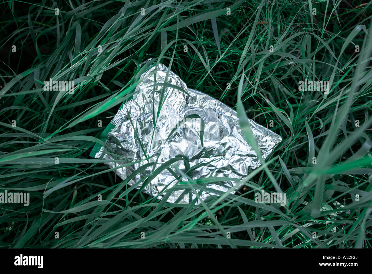 Sac en plastique dans l'herbe verte, la pollution de la nature concept. Morceau de déchets en plastique (vide emballage pour les produits alimentaires) jetés sur une pelouse, close-up view Banque D'Images
