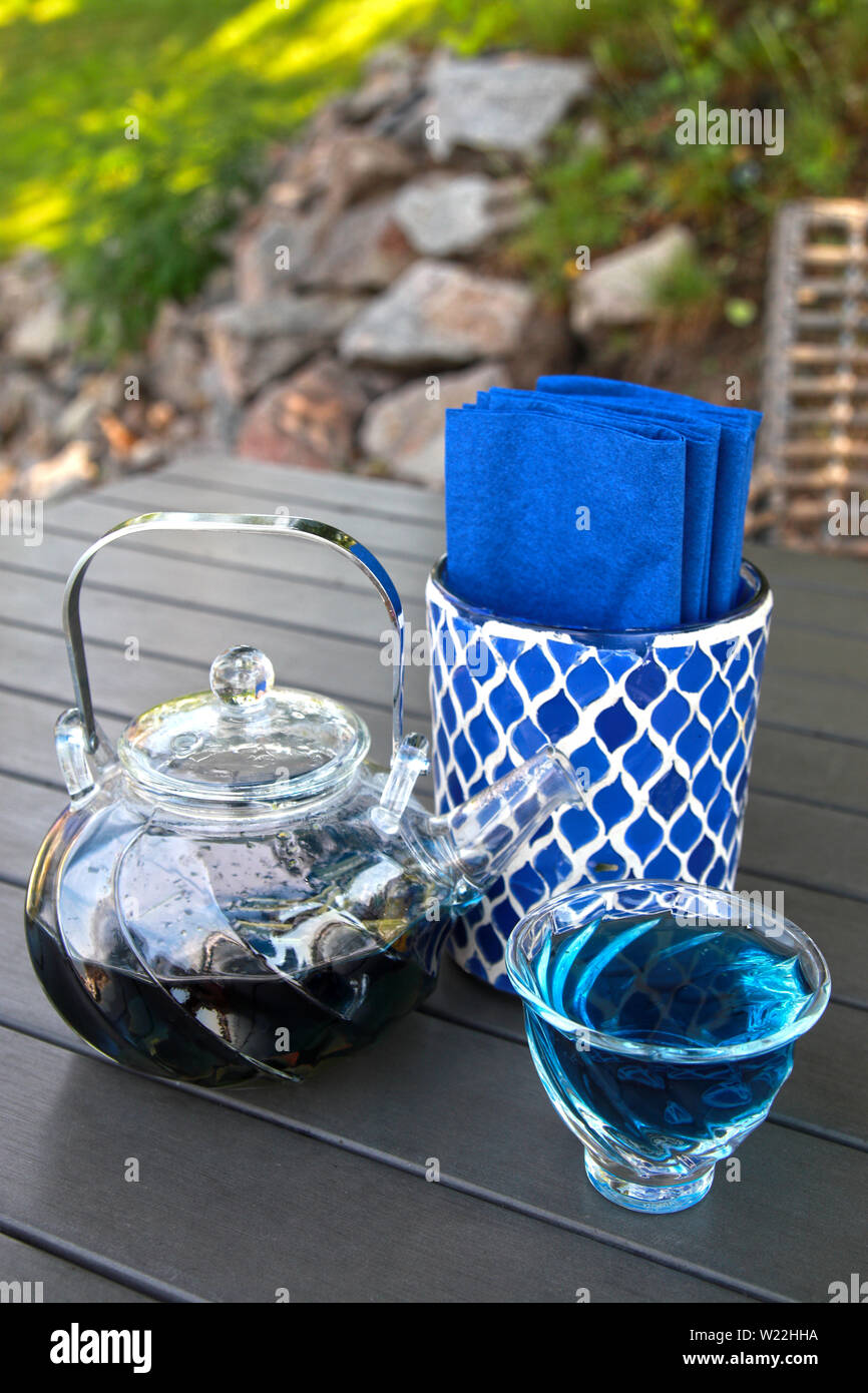 Pois papillon plateau bleu. Bleu thé dans une tasse et une théière sur la table Banque D'Images