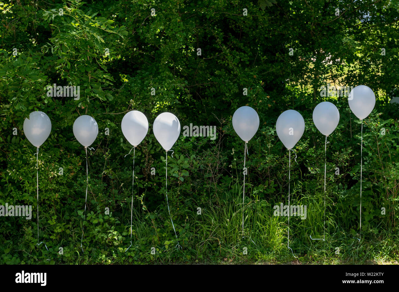 Weisse Ballone une Hochzeit Banque D'Images