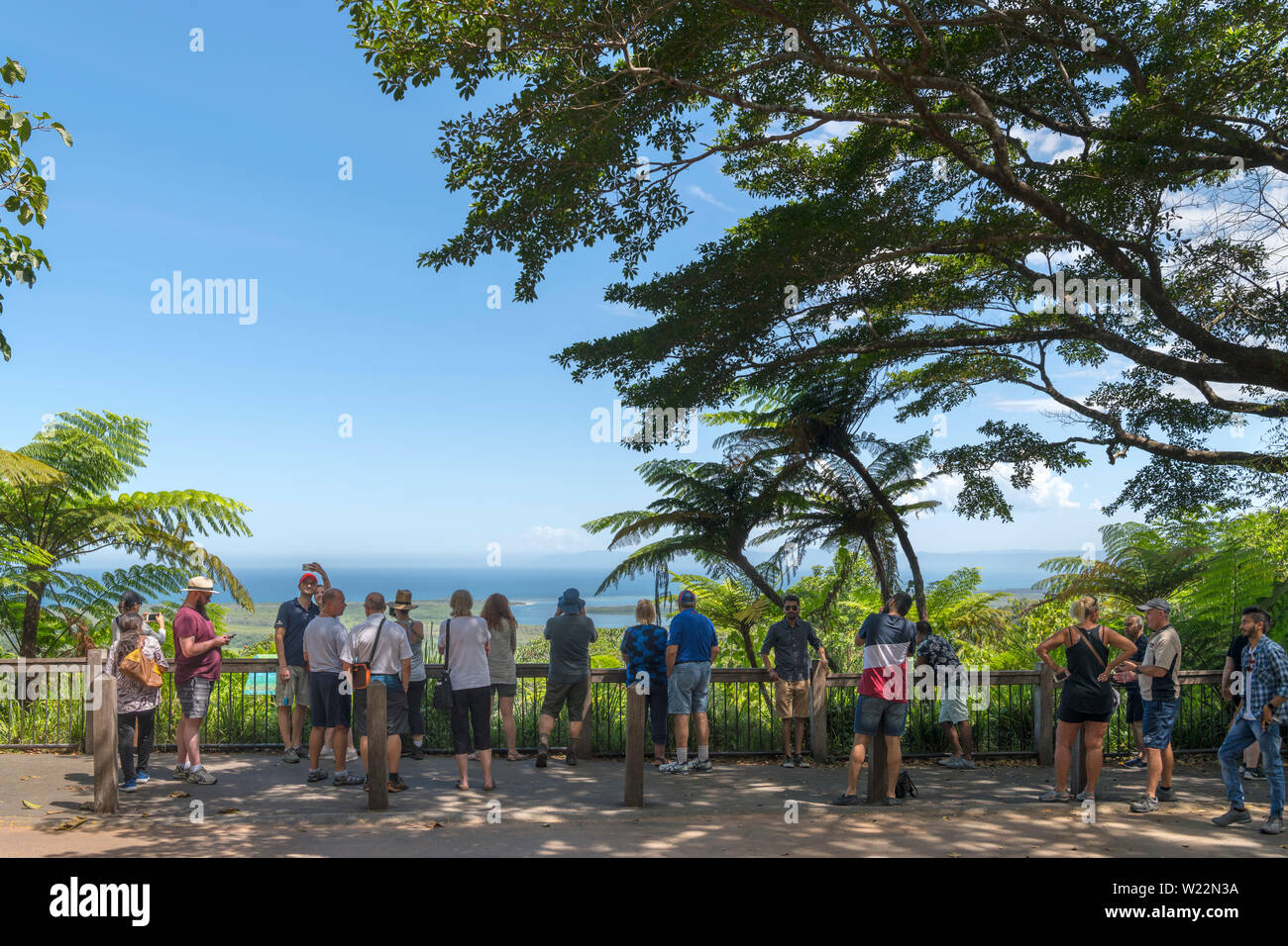 Les touristes au mont Alexandra Lookout (Walu Wugirriga), la forêt tropicale de Daintree, parc national de Daintree, Queensland, Australie Banque D'Images