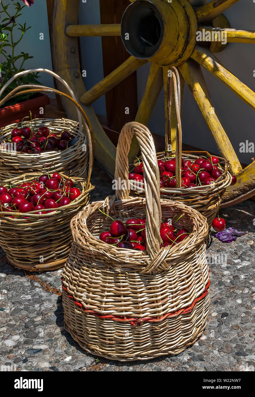Les cerises dans un panier ; Banque D'Images