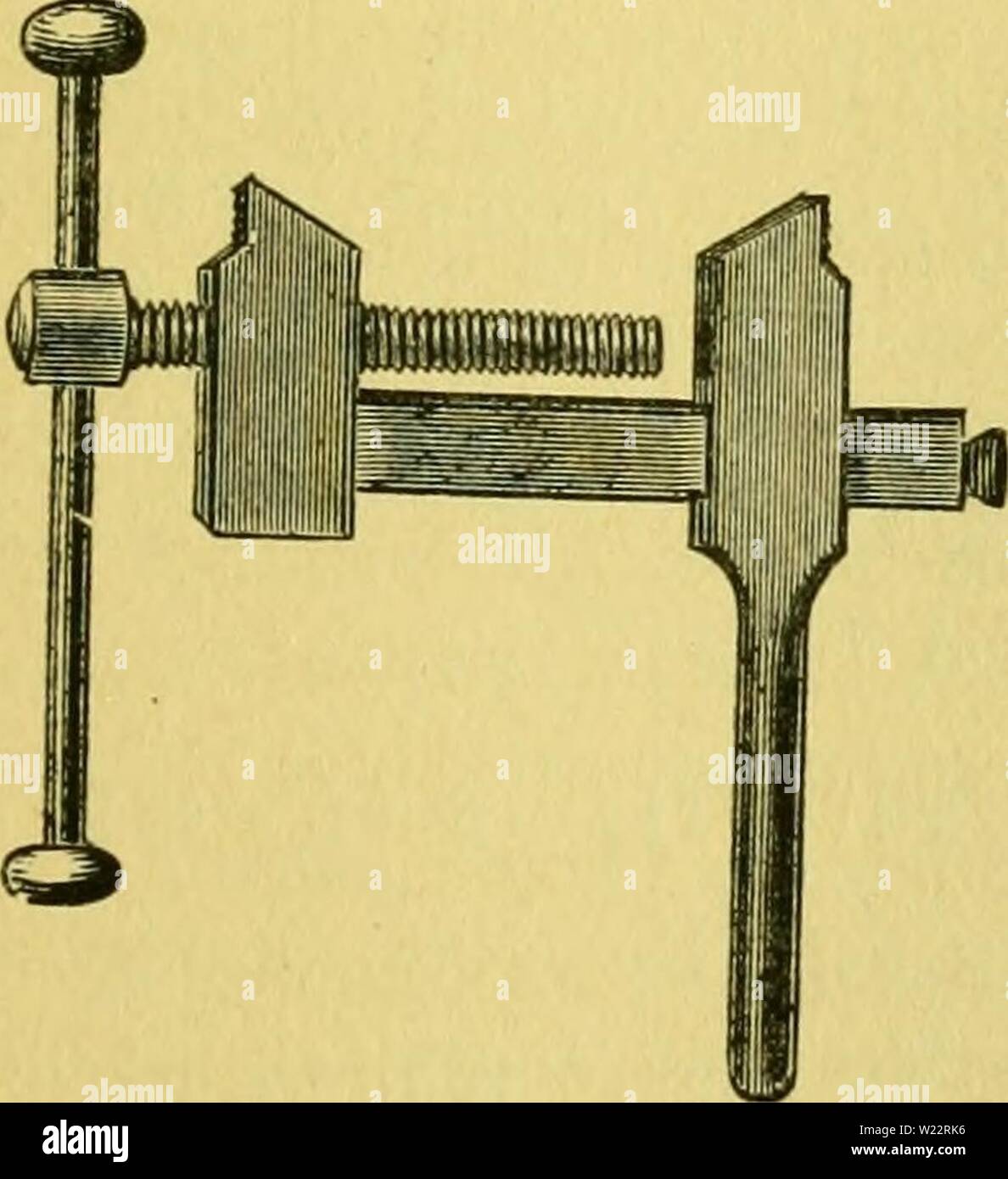 Image d'archive à partir de la page 108 de Das pferd Ein buch für. Das pferd. Ein buch für das volk, enthaltend : daspferdeinbuchf01pitc Année : 1881 3)Une cfdIagen fcrbc§ 33ber. 101 (Stngetretene 9 ?dgel plitter ober. Uevft 3jie ben 9iagel ober (levauS jemev Splitter, babei 33tut fftet ocfto Beffcv efdjiefjt, Mourir.§ nid)t, nimm fpiljige§ 3 etn[Voyant reinige, JBunbe tiidjtig laffc bie unb bluten, bamtt§ ha @ift entfernt. roerbe (Iteibc Dou ber ®ol;lc ober bem trn()I)t mcE mer ah, aU 3)u mu§t'EEIG, ein panr ropfen (2arj[nure dans Bunbe 3bie brenne unb fie mit einem 'i)den (Sijen au§ Xfjeeu fiide nxit, fie unb bc Banque D'Images