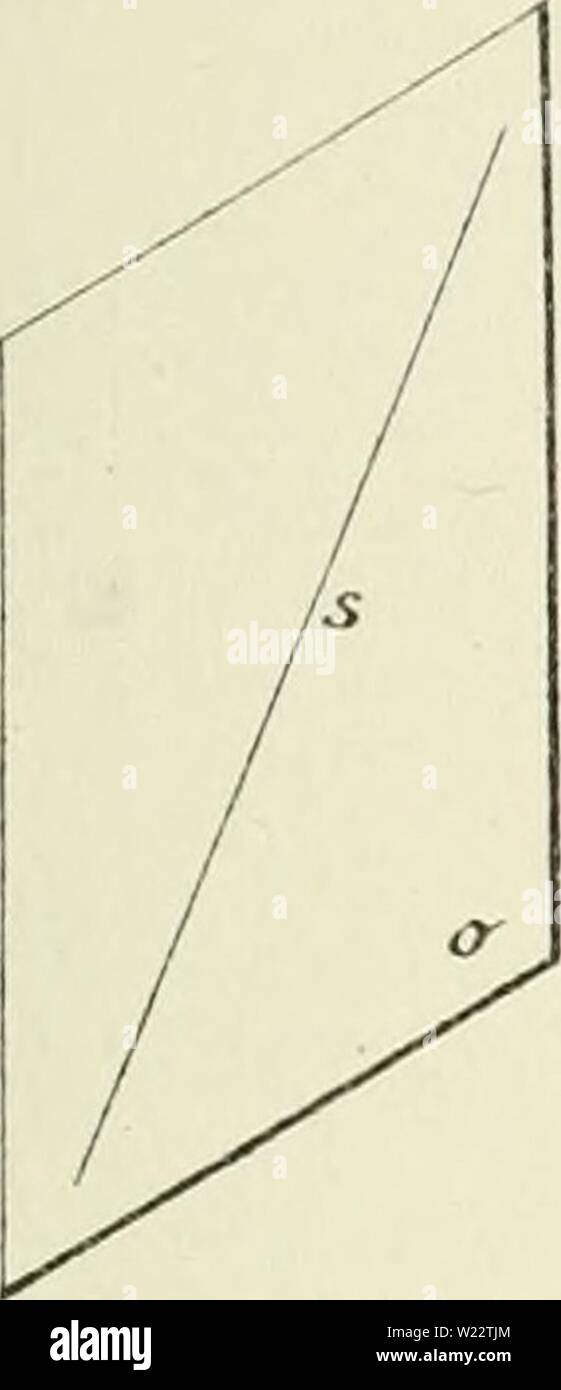 Image d'archive à partir de la page 110 de Verslagen en mededeelingen. Verslagen en mededeelingen d5d6verslagenenm03akad Année : ie '. Banque D'Images