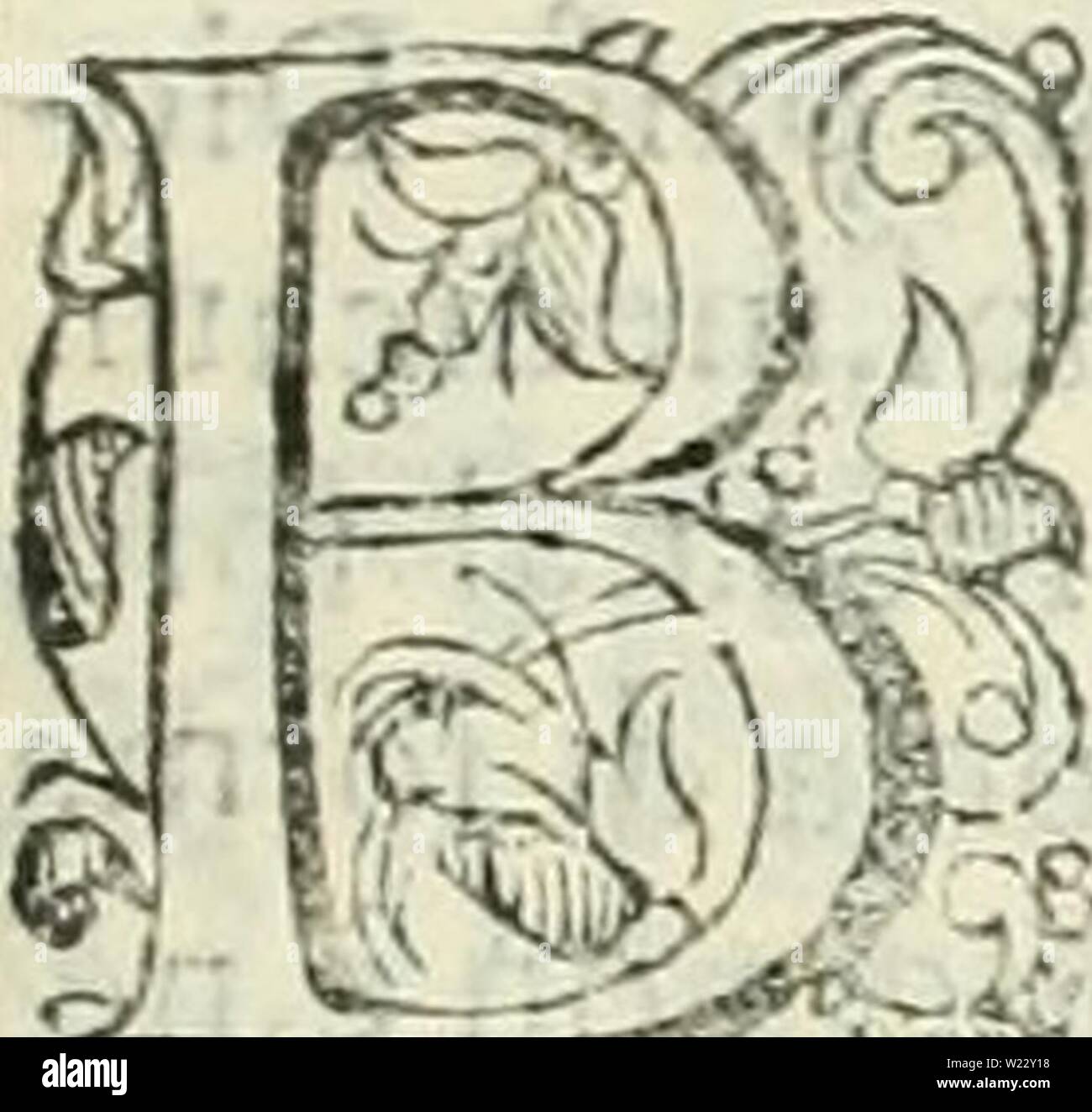 Image d'archive à partir de la page 116 de dell'elixir vitae (1624) Banque D'Images