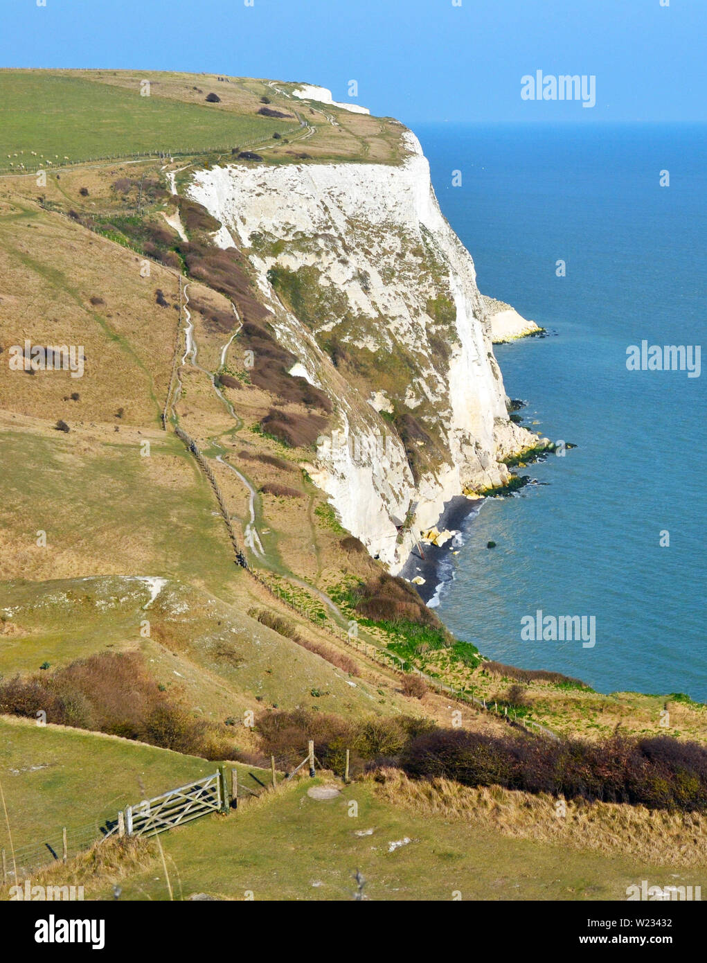 Les falaises blanches de Douvres, Kent, England, UK Banque D'Images