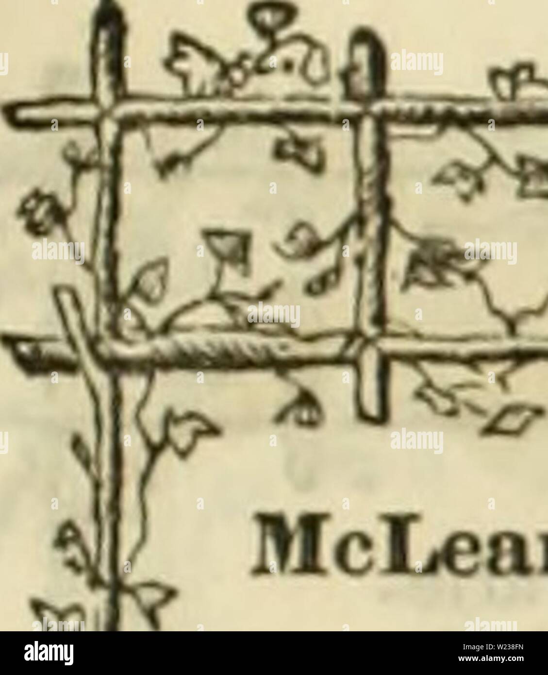 Image d'archive à partir de la page 144 de Curtis, Cobb & Washburn's amateur. Curtis, Cobb & Washburn's amateur guide du cultivateur à la fleur et jardin cuisine pour curtiscobbwashbu 1878 Année : 1878 curt1878A Brassard à usage par qt. McLean's petite perle. Un nain, prolifique, preen froissé Jlnrrow ; habitude similaire à llock'une gemme ou Tom Pouce, et constitue une première au début, la taille d'un pied du variateur d'McLean. Un nain froissé vert ; beaux-liavor moelle ; gousses longues, bien rempli ; prolifique ; presque aussi tôt que le Dan O'Kourke McLean's Princess Royal. Un très prolifiques, les gousses, oarlv variété, d'amende ; l'un fiavor sucrées foct higii ; gousses l Banque D'Images