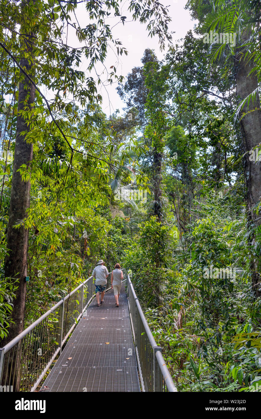 Les visiteurs sur la promenade dans le centre de découverte, la forêt tropicale de Daintree, parc national de Daintree, Queensland, Australie Banque D'Images