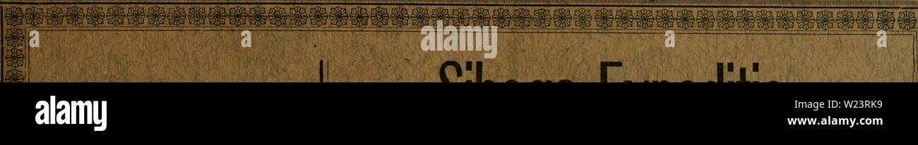 Image d'archive à partir de la page 180 de la Decapoda Brachyura du Banque D'Images