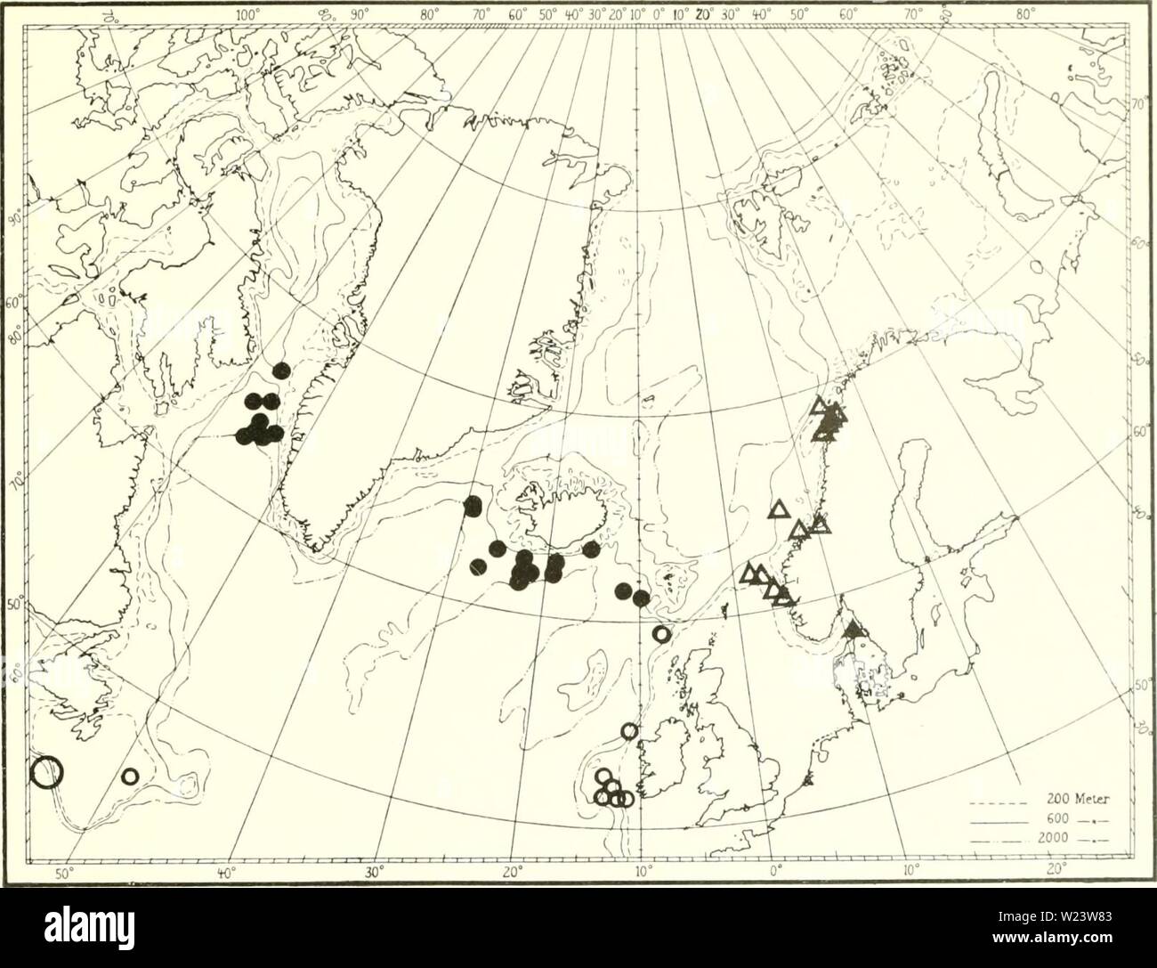 Image d'archive à partir de la page 184 de l'Ingolf danois-Expedition (1899-1953). L'expédition danoise Ingolf-danishingolfex daniuoft5dpt12Année : 1899-1953 Ot'TOC'ORALLIA Fig. 53. Â ¢'Actnu irhusciihi (UC (.lolinsnn). Un Isidi'lhi ]()jok&gt;ixU M. ISC. 02Â°4O' N 22°17' O. 1109)11, 39('. 'Innolf St. (i9. reg N. 27'00' O. 913m, 6Â°1 C. - Si. 62Â°58' N 25°24' O. 1192 m, 4Â°8C. Â - S4. 64Â°45' N. 29Â°0()' O. 1070 m, 4Â°4C. Â - 90. 6r08' N. 9Â°4B' O. 847 m, -irhapl «' SRAS 79 St.. 64Â°05' N. 55Â°20' O. 1100 m, '-Tialfi» St. 337. 64Â°40' N. 56Â°37' O. 750 m, â - 402. 63Â°54' N. 53Â°15' O. 98,S, M Banque D'Images