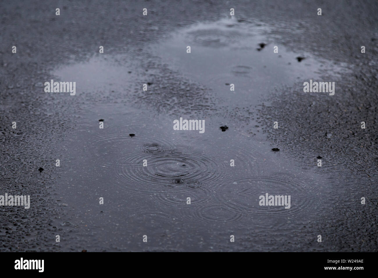 Rides de flaques sur l'asphalte sur un jour de pluie et de gris. Angle incliné, concentré sur l'avant-plan. Banque D'Images