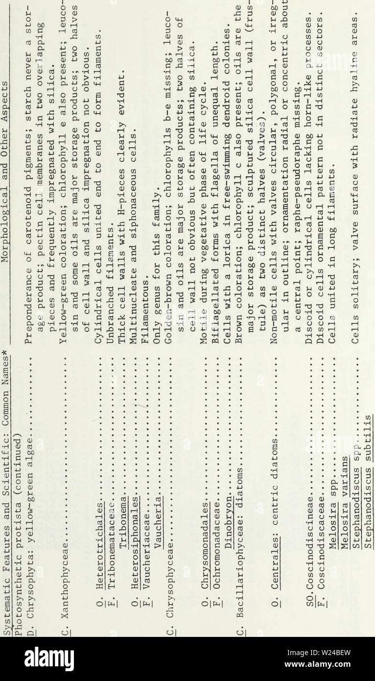 Image d'archive à partir de la page 226 du rapport de données pour les organismes benthiques. Rapport des données pour la communauté de macroinvertébrés benthiques et le périphyton inventaire des cours d'eau drainant le bassin sud de Fort Union sud-est de la région de Montana1980datareportforben klar Année : 1980 -201- cn c â¢H â¢U C O U H a H CO CU CU &gt ;-i cO W CU â H CJ 0) a fr e o j-j-j O CO 5 â¢iâi e C CO CO CO cu 0) 00 â¢H | CO 4-1 J -a c CO U a) o 3 fr l l , o a) XI o j il en en cO t-l CJ I i| &gt ;. X Â"â â H H T3 O 1 CO 1 H Q CO Banque D'Images