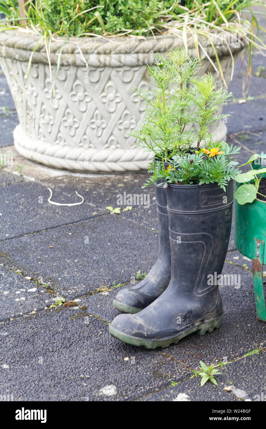 Fleurs dans une paire de bottes Banque D'Images