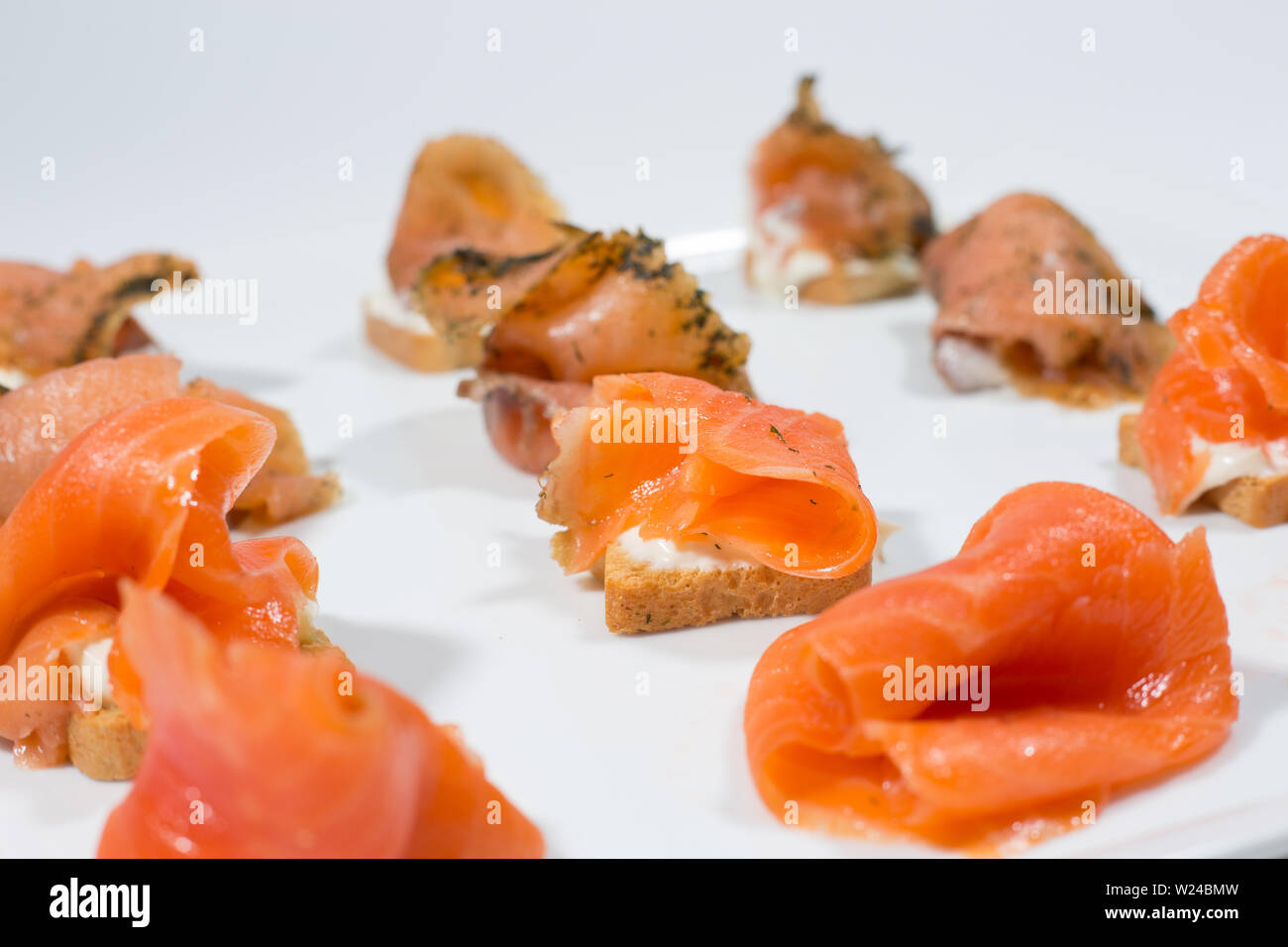 Tranches de filet de poisson du saumon Banque D'Images