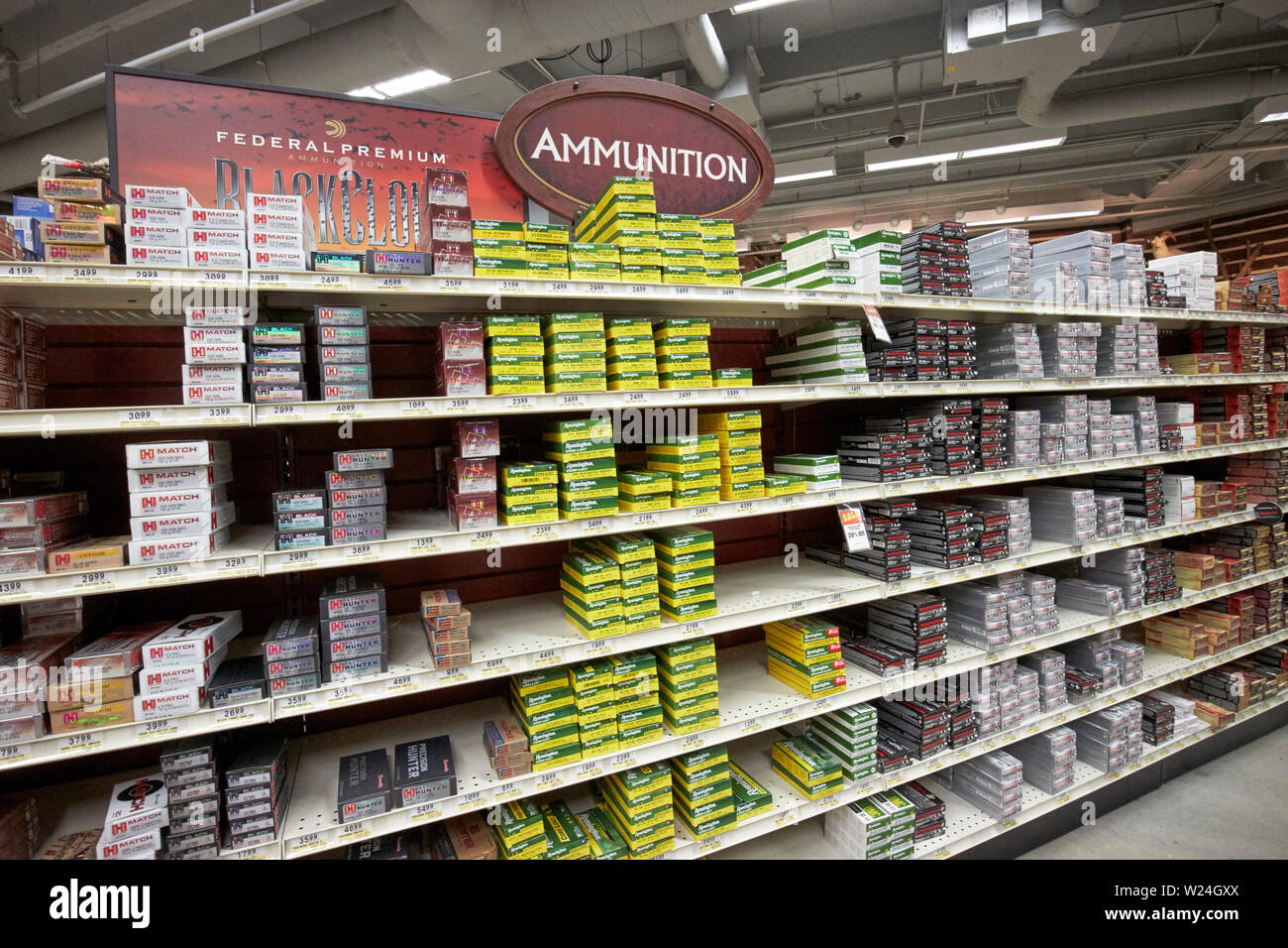 Rangées de munitions d'armes à feu sur l'écran dans un magasin d'articles de sport dans la région de savannah georgia usa Banque D'Images