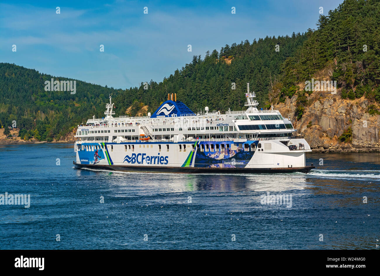 Le Canada, la Colombie-Britannique, la BC Ferries, M/V Coastal Renaissance, opère entre Vancouver (Tsawwassen) et Victoria (Swartz Bay) Banque D'Images