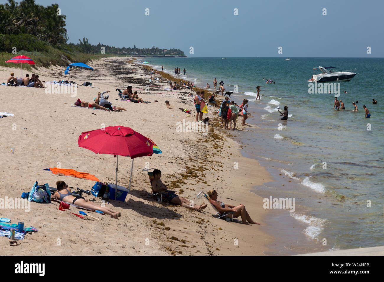 Les nageurs et les baigneurs, beachcombers profiter de l'océan Atlantique et le soleil du sud de la Floride sur la plage de Manalapan, Florida, USA. Banque D'Images Les nageurs et les baigneurs, beachcombers profiter de l'océan Atlantique et le soleil du sud de la Floride sur la plage de Manalapan, Florida, USA. Banque D'Images