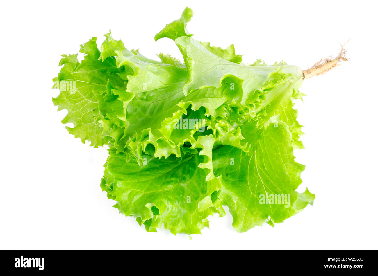 Salade de légumes verts isolé sur blanc. Photo Banque D'Images