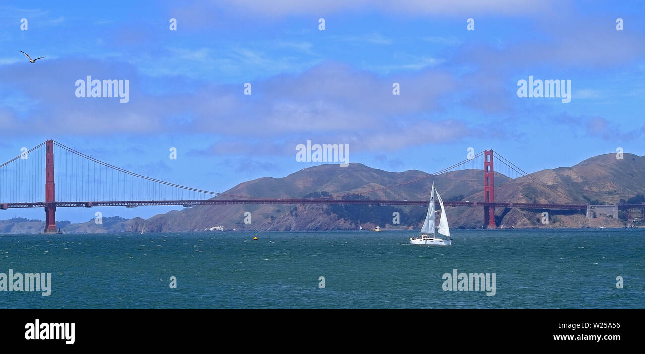 San Francisco, Californie. Golden Gate Bridge avec bateau à voile seagull et Banque D'Images