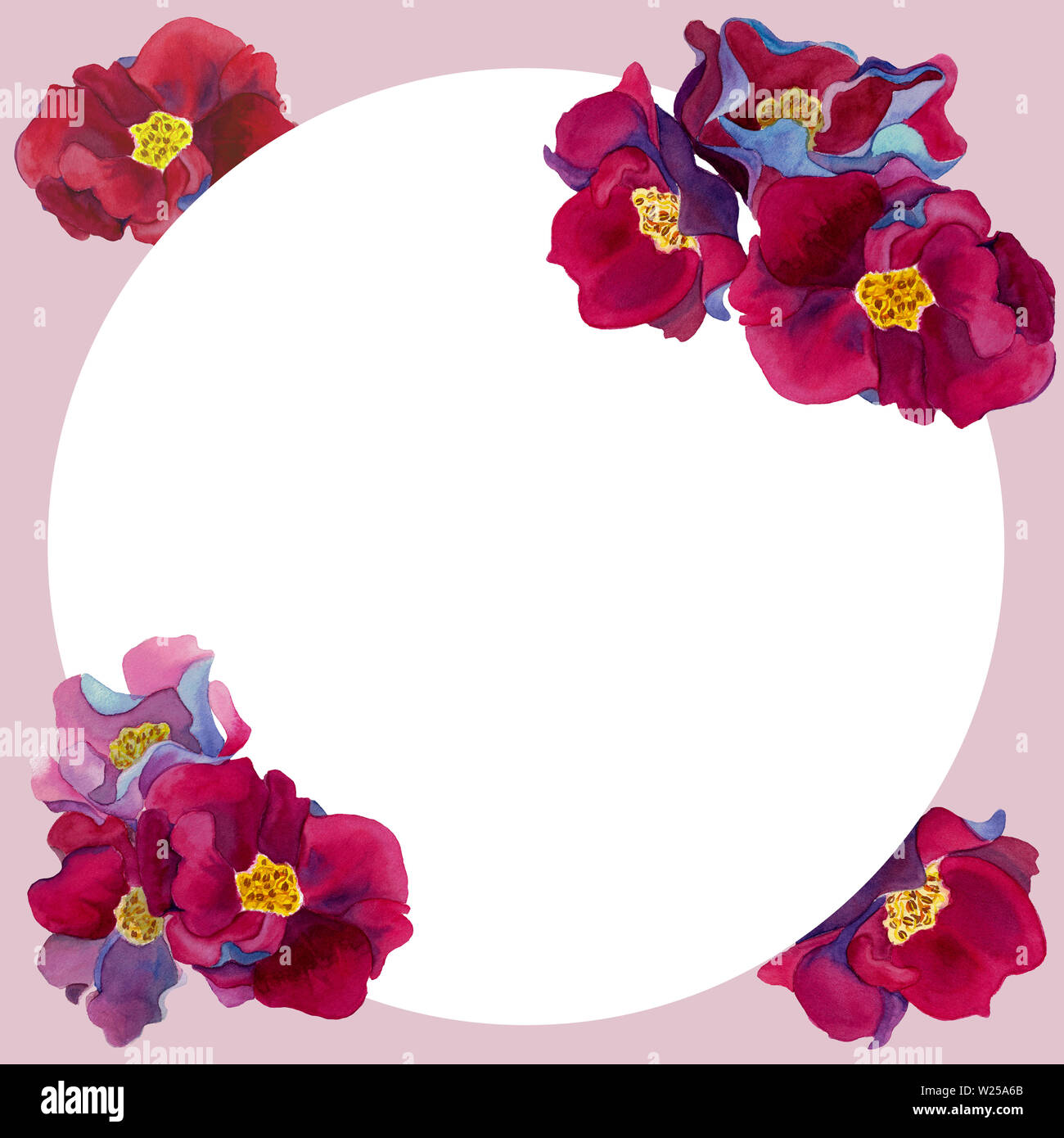 Cadre de l'Aquarelle fleurs fantastiques avec des pétales de rose et rouge, bleu et violet ombres, modèle sur fond blanc. Pour la conception de décor de mariage Banque D'Images