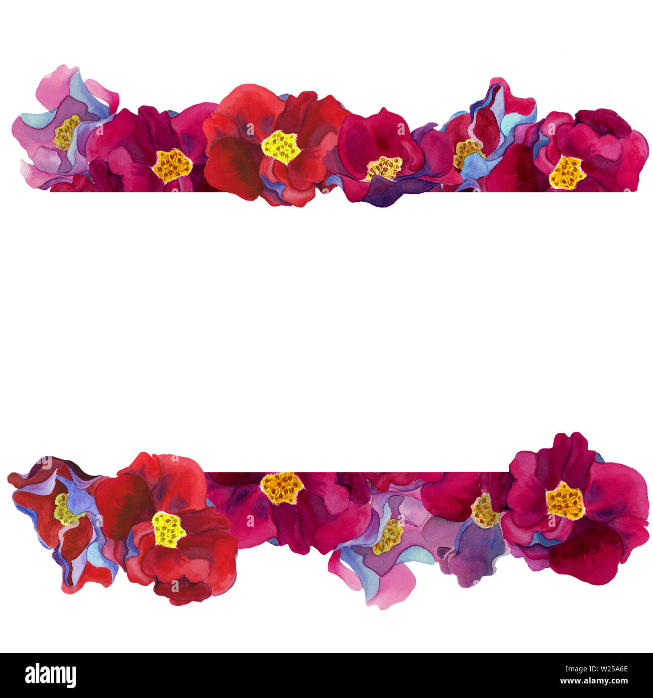 Cadre de l'Aquarelle fleurs fantastiques avec des pétales de rose et rouge, bleu et violet ombres, modèle sur fond blanc. Pour la conception de décor de mariage Banque D'Images