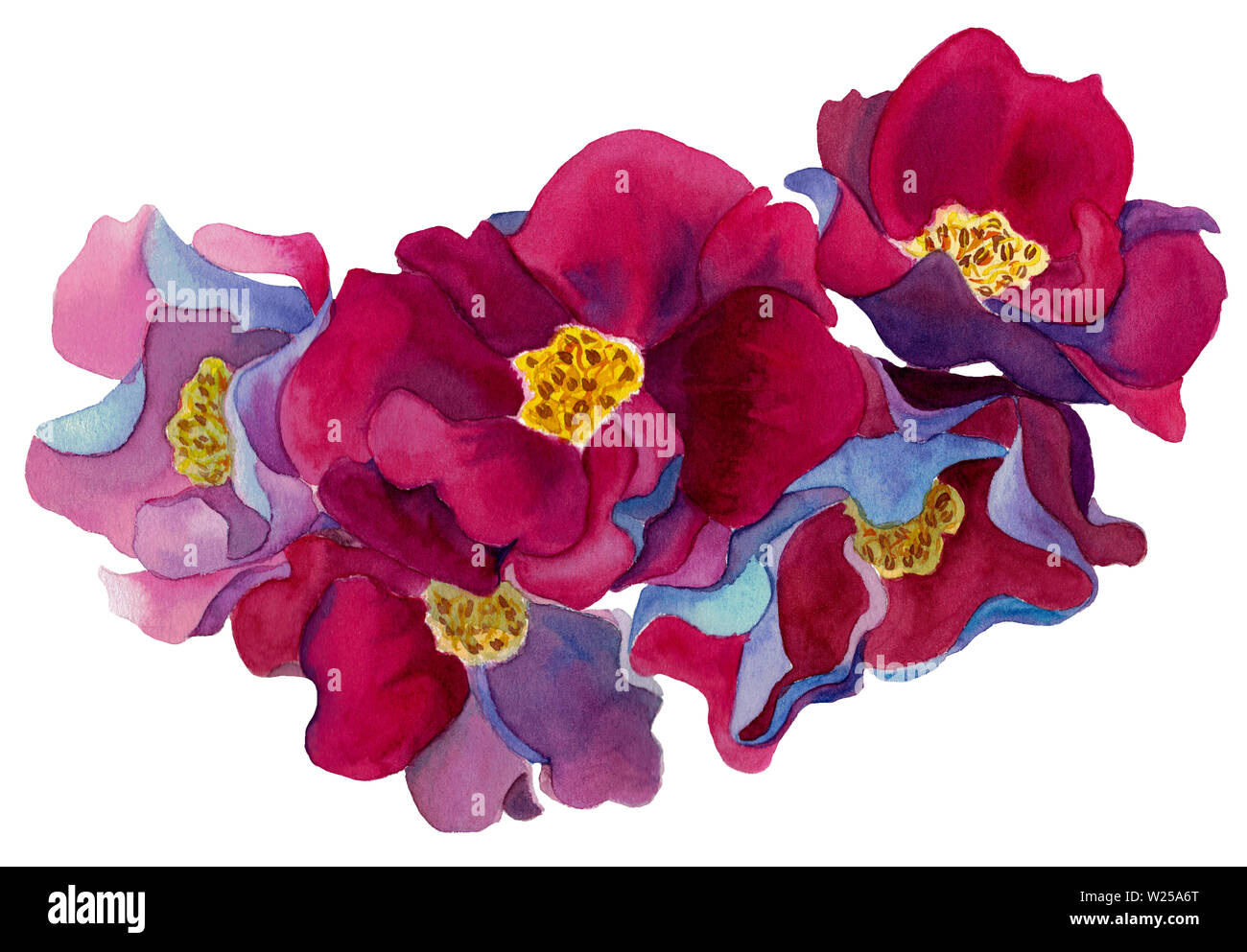 L'aquarelle à la main ensemble de fleurs fantastiques avec des pétales de rose et rouge, bleu et violet, isolé sur fond blanc. Pour la conception de décor de mariage. Banque D'Images