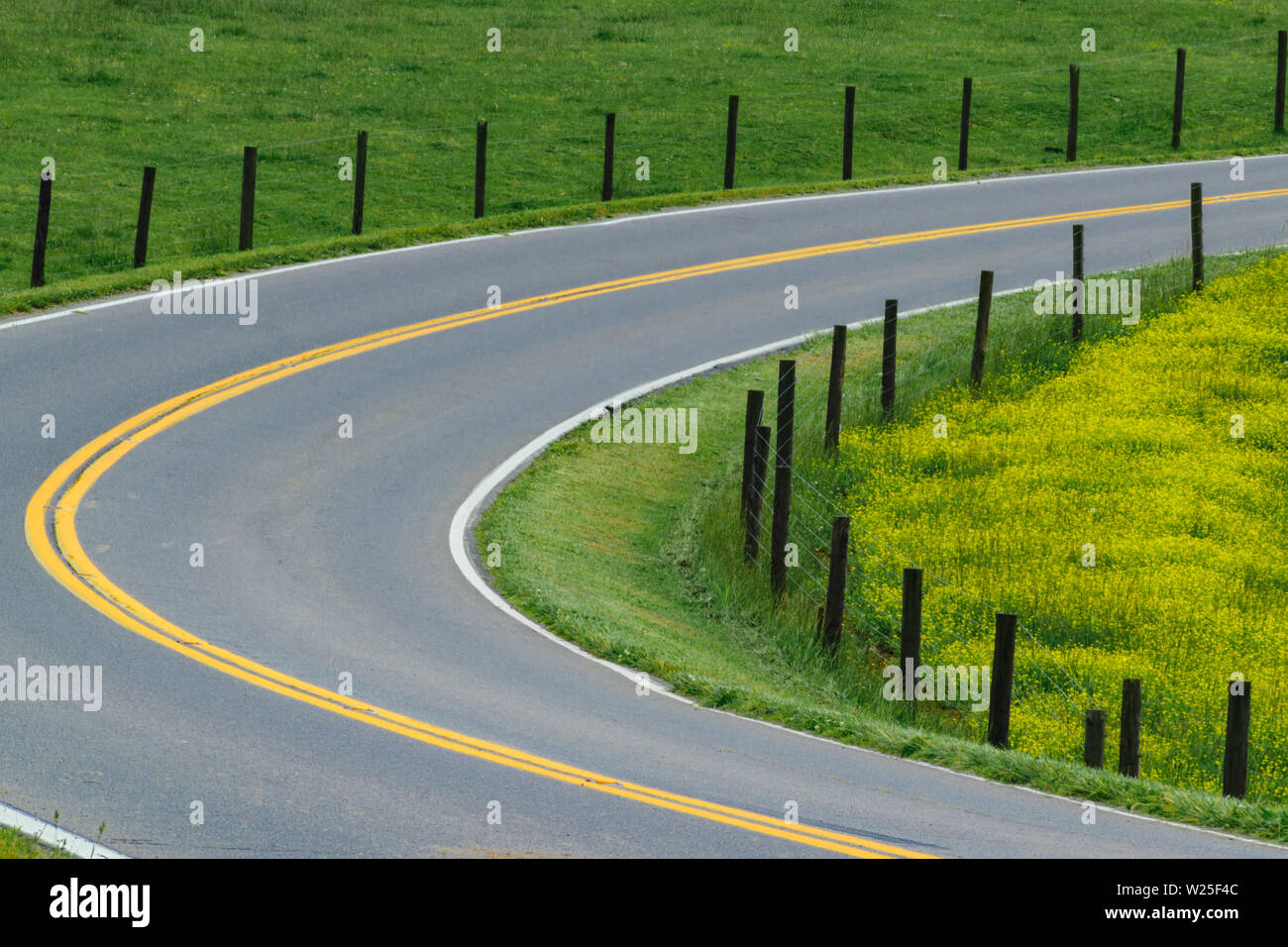 Un arc légèrement courbe d'une route qui passe à travers un pâturage vert et jaune. Banque D'Images