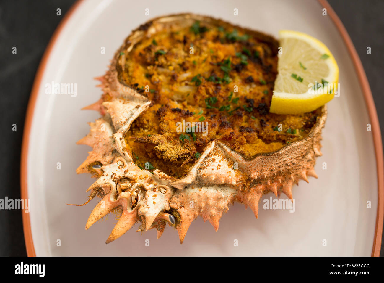 Un plat de crabe araignée cuit sur la base d'un plat Basque Txangurro ou Changurro. L'araignée de mer, Maja brachydactyla, a été pris dans l'anglais Banque D'Images