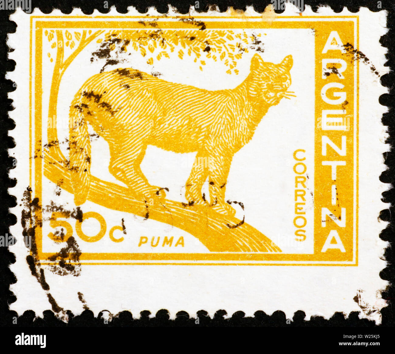 Mountain lion sur vieux timbre-poste de l'Argentine Banque D'Images