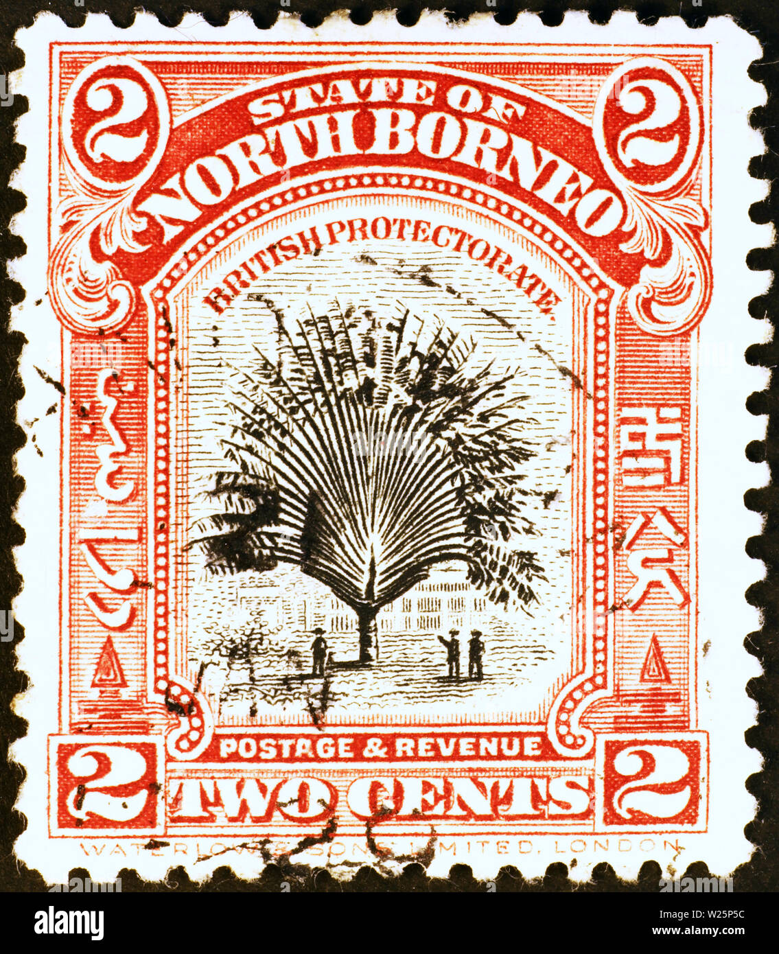 Timbre ancien de Bornéo du Nord avec un palmier Banque D'Images
