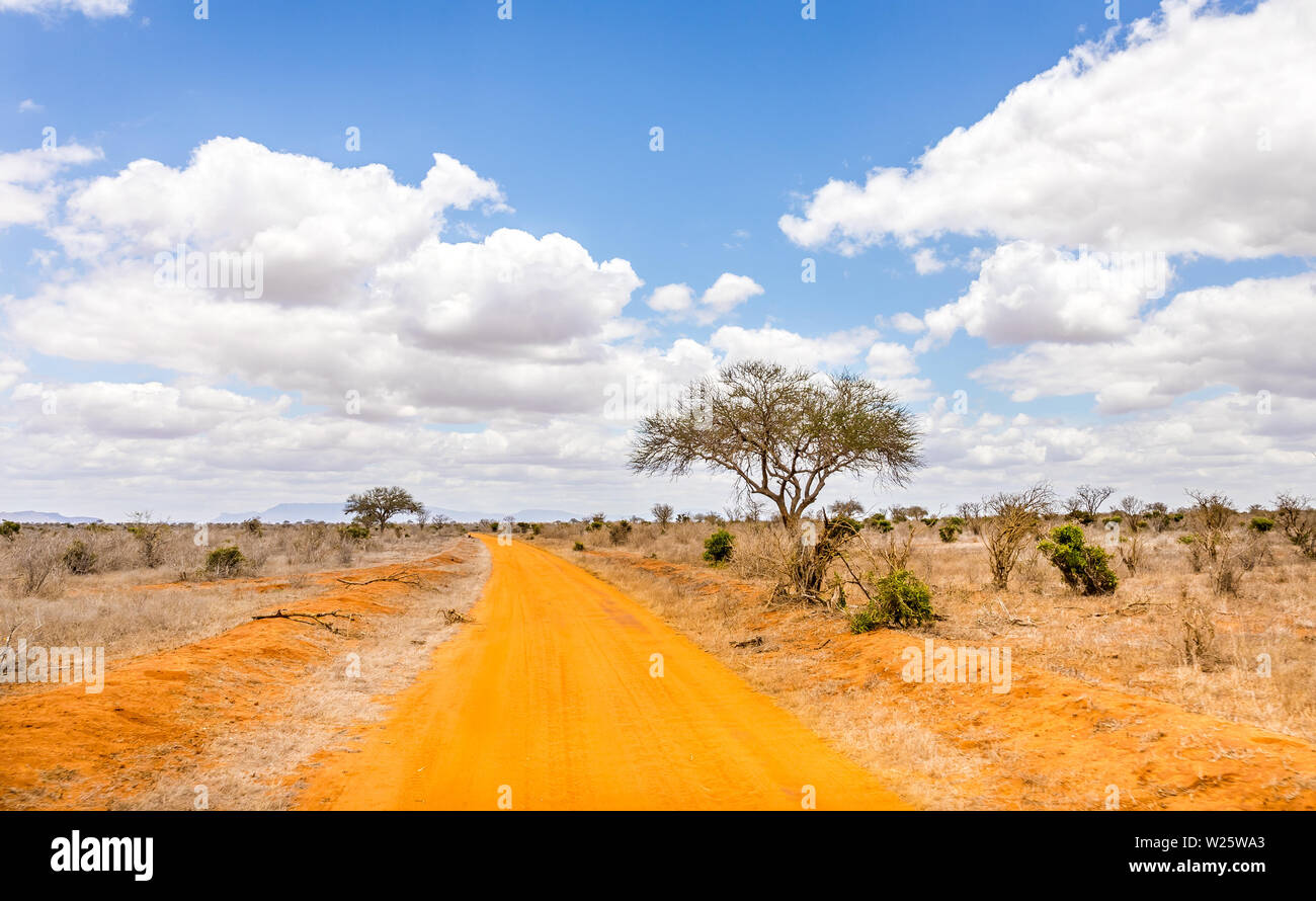 Les plaines de savane incroyable paysage et route safari au Kenya Banque D'Images