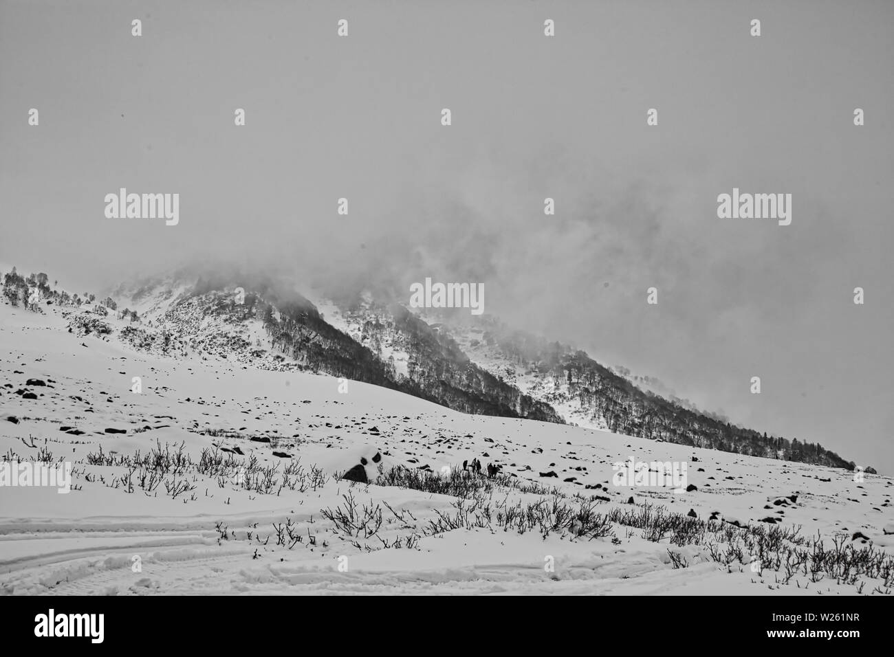Un paysage couvert de neige à Gulmarg, au Cachemire, en Inde Banque D'Images