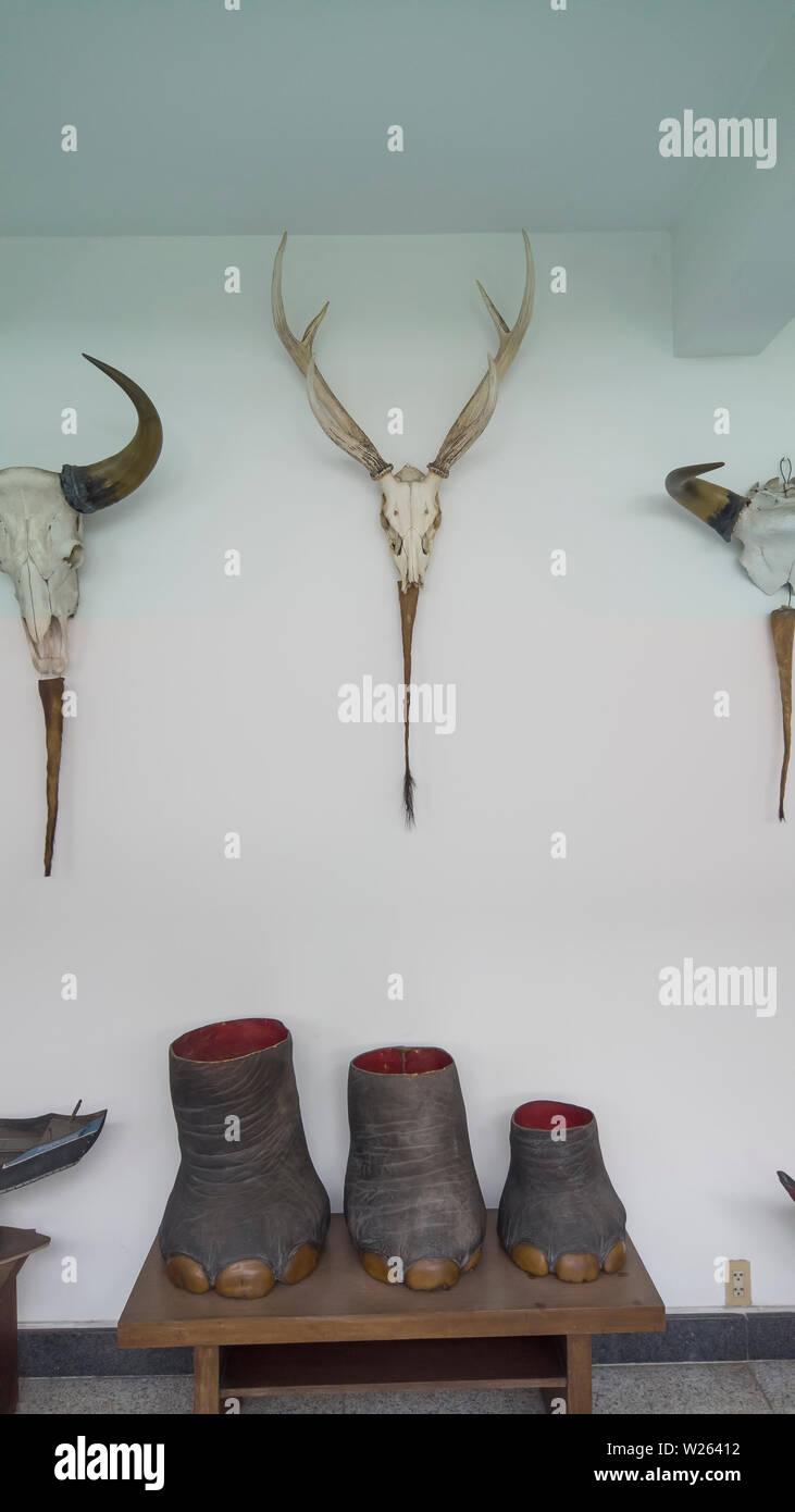 Pieds d'éléphants et de trophées de chasse à l'ancien Palais présidentiel ou Palais de la réunification à Ho Chi Minh Ville (Saigon) Vietnam Banque D'Images