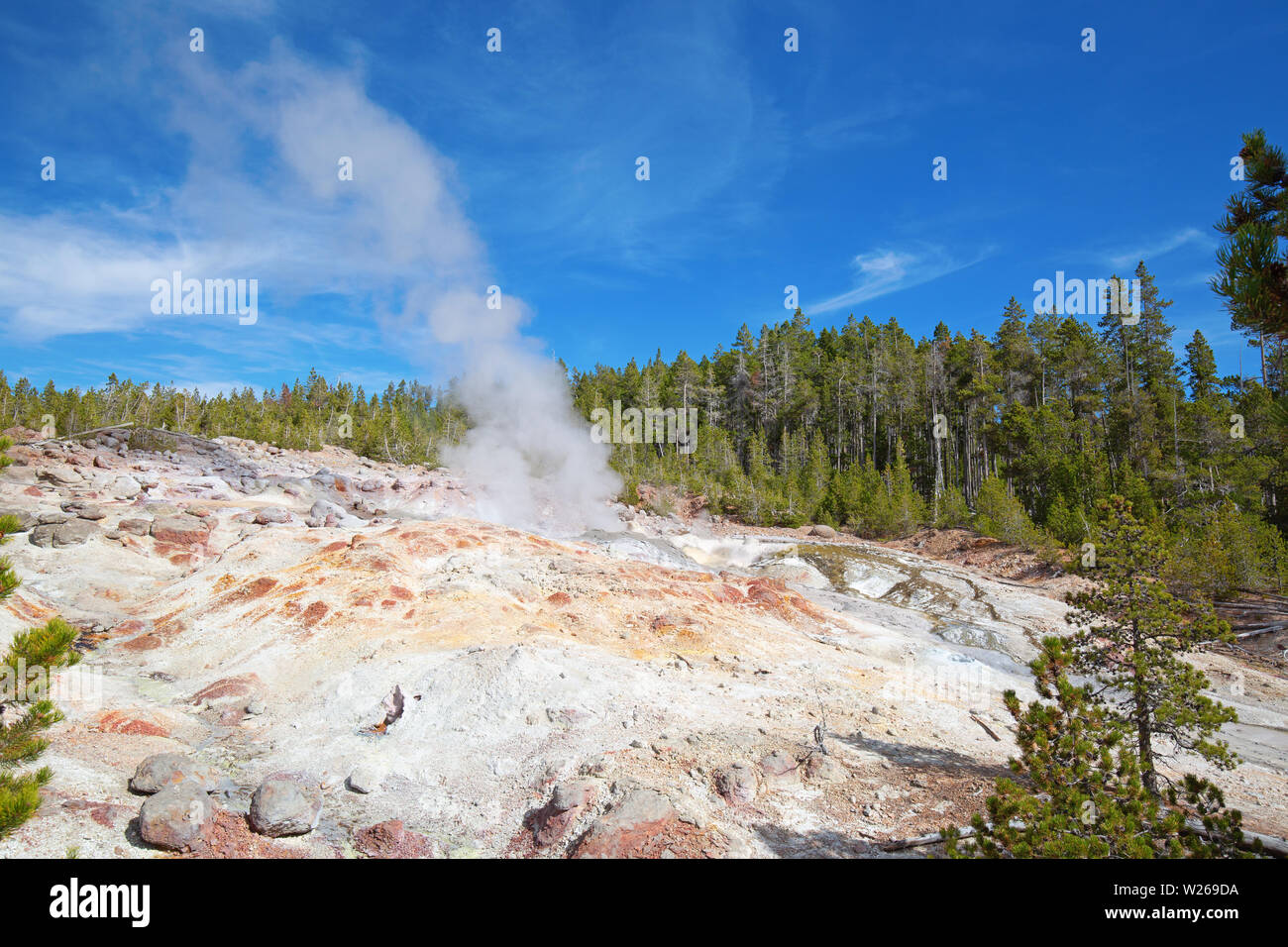 L'éruption du Geyser Steamboat dans le parc national de Yellowstone, États-Unis Banque D'Images