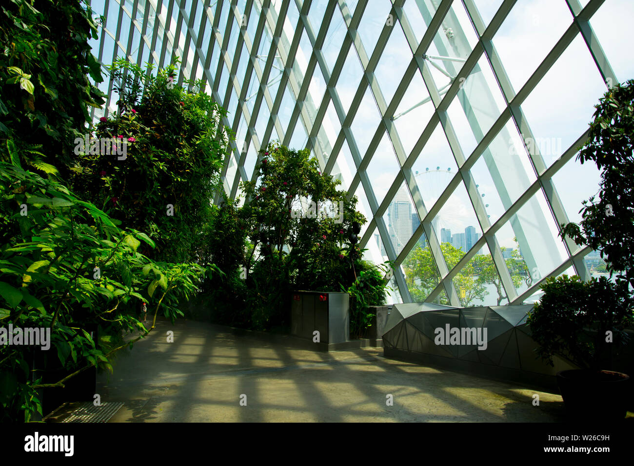 Serre tropicale Rain Forest - Singapour Banque D'Images
