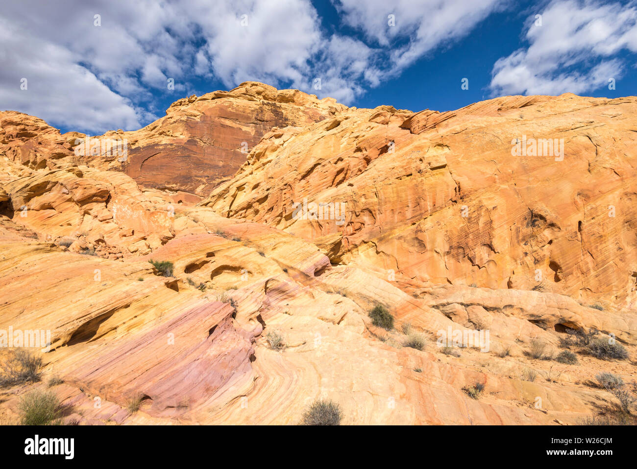 Formations rocheuses colorées sur le Rainbow Vista trail. Vallée de Feu Park, Nevada, USA. Banque D'Images