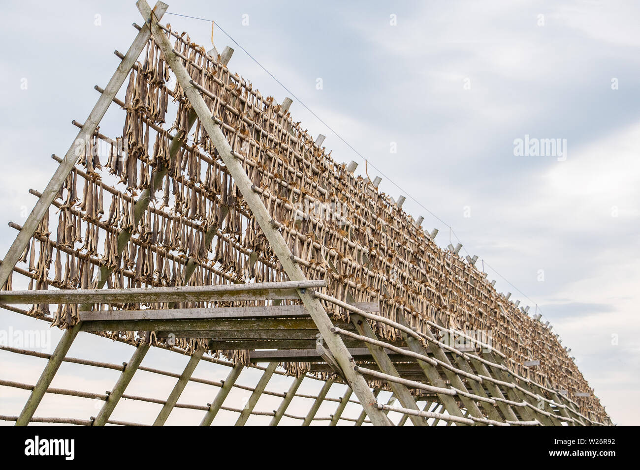 La morue séchée de l'Atlantique nord, connu sous le nom de stockfish, est le principal ingrédient de bacalao, un ragoût de poisson populaire dans la Norvège et l'Espagne. Banque D'Images