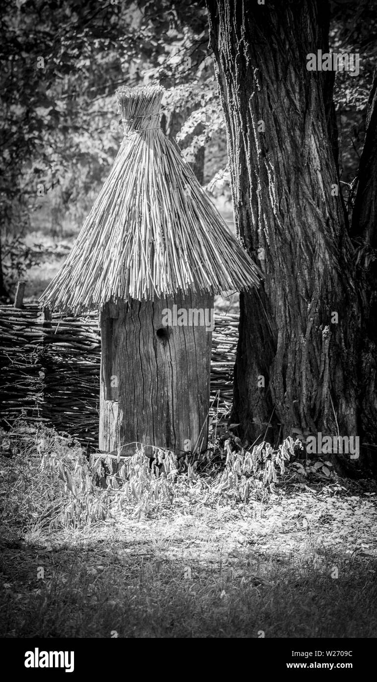 Retro en bois de ruche tronc d'arbre sur le village en Ukraine Banque D'Images