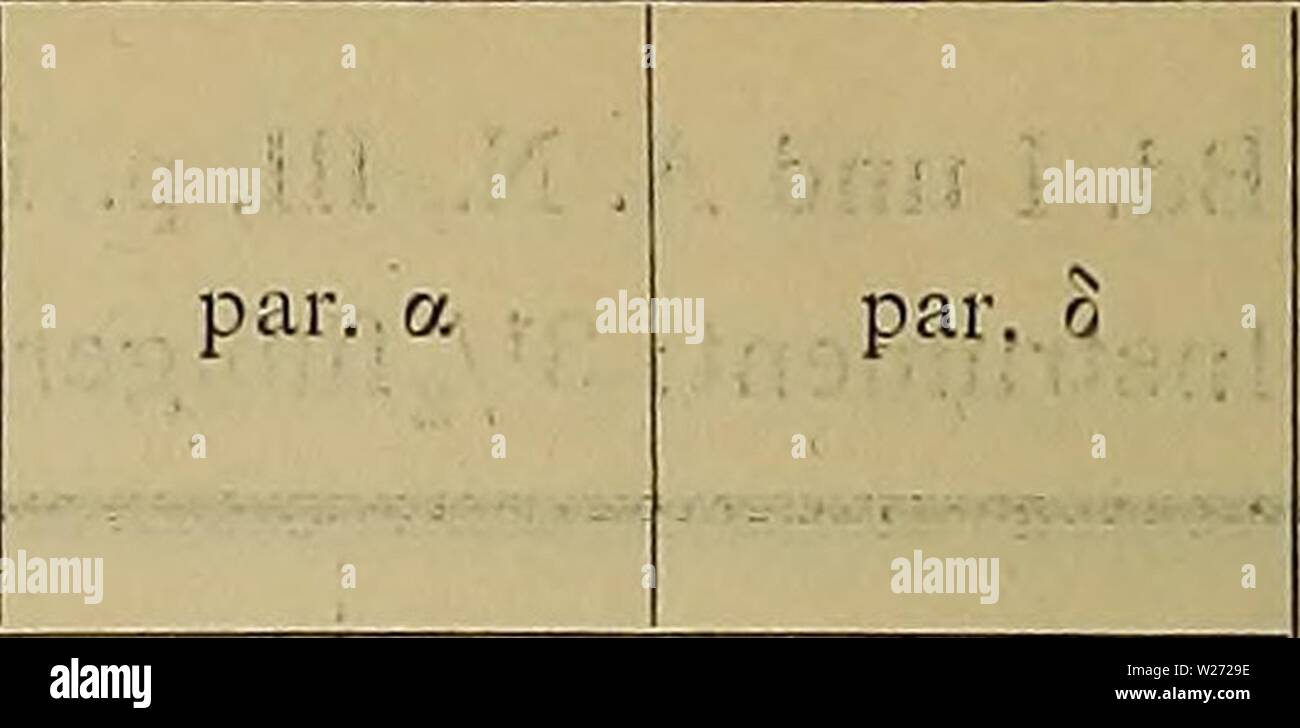 Image d'archive à partir de la page 33 de Denkschriften - Österreichische Akademie der. Denkschriften - Ãsterreichische denkschriftens Akademie der Wissenschaften871912akad Année : 1850 24 A., Hitafek Sangenstrasse Datum Zeit Greenwich 1824 Février 9. Février 28. 8i&gt ; 53' 12 ?6 96 14 31 14 57-6 33-4 40-1 43-6 42 14 48 14 53 21-4 15 9 7-8 15 15 12-8 15 19 15-1 17 54 15-94 16-13 16-86 ?19-39 16-38 17-92 104 r 30''5 3 3 2 33-5 44-1 37-7 14-4 1-6 1 2 0 0 20-4 06 0-27 0-26 ?- 0-29 0-25 0-24 0-22 8-2 5-9 6-1 6-2 0 6-3 6-5 6-6 2. Altona. [A. N., II, à l'exception mit Beobachter der letzten von Position JÃ¤nner, 17. Banque D'Images