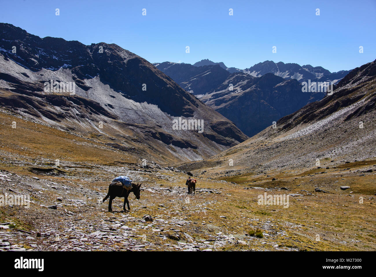 Trekking à travers la Cordillère Real mountain range, Bolivie Banque D'Images