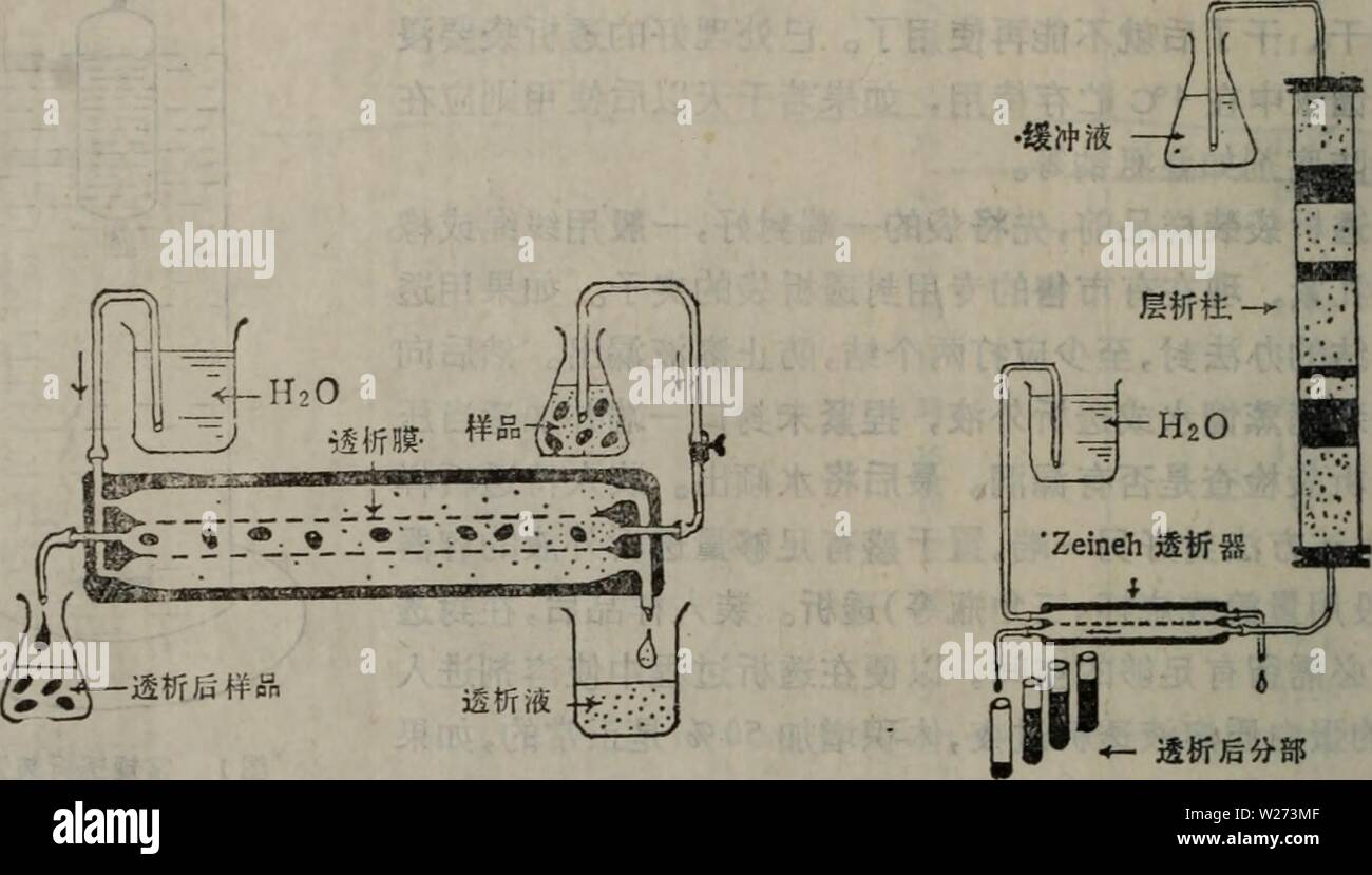 Image d'archive à partir de la page 37 de dan bai zhi mei il. dan bai zhi mei xue yan jiu il fang fa01danbaizhihemeixu åãZeinehéaeå luzi Année : 1989.4¨¨Zeinehéaeå çåçae¯W å¯¹Aeµéaeï¼Å ¶¯aeé æ å ä°å¼ éaeèå¤¤» ¹Å¤åaeè¨ä'¡¡¾Çae«â èç" ï¼å½ aeç à''çé®¡¶ééï¼è ç ¢"éaeae¶²Aeµç Ééï¼èéaeå¤-"æ æ¶²Åç¤åae¹åä éaeèå¦«« ä¾§aeµè ä'.¿¿ä½ è¢"éaeae¶²ä éaeå¤¶æ'²Å½¿aeè¢ç"¯¹Aeµï¼Å¾-çå2¨éaeéåº Zeinehéaeå ã)¦¿« aeçé å"Kroměříž Kroměříž2 ãä¾¦ï¼ç¨å3 è¯¨éaeå¥ä"30mlå« NaClçèç½è 3mol/L¶aeº¨»¶²ä æ'-è±çï¼1å°æ¶¯å è±Å"aeç¨,Nad 99,9 éaeå¶²Ä¤æ'å° aeç mlãå¦¨200 å''è§éaeï¼éè¦¨1000å ç¤mléaeå¤¶²Ï¼Éae¿æ è å¤ï¼aeè½è¾¾å ãZeinehéaeå åae ·aeae°¨§¯çé ç'ï¼ä½ç§¯¯ä¾ä çae'º50cm j,å''è§éaeåªae aeçaeé j,0,5Cm"100åï¼è éaeae¶²Åéaeå ¢"æ¶²Èªç¤ Banque D'Images