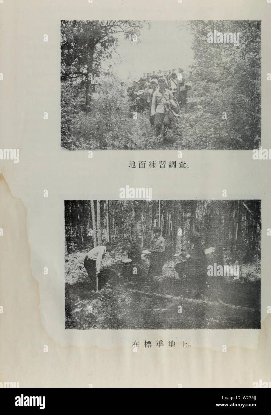 Image d'archive à partir de la page 43 de da xing ling un sen. da xing ling un sen lin zi yuan diao cha bao gao daxinglingsenlin01tezh Année : 1954 Banque D'Images