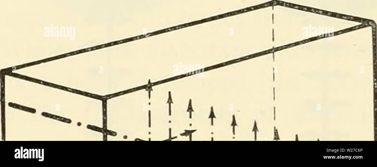 Image d'archive à partir de la page 263 de la cytologie (1961) Banque D'Images