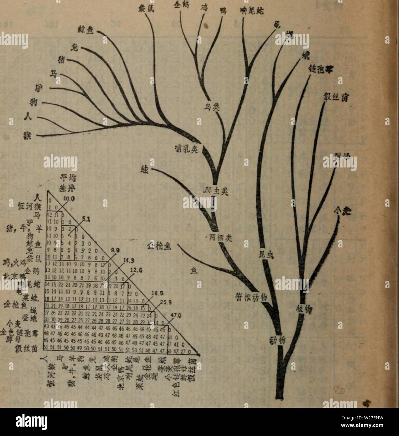 Image d'archive à partir de la page 271 de dan de bai zhi jie. dan bai zhi jie de gou yu gong neng danbaizhidejiego00yan Banque D'Images