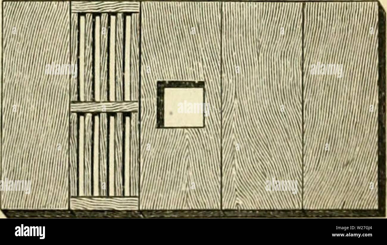 Image d'archive à partir de la page 278 de Das Buch von der biene. Das Buch von der biene dasbuchvonderbie witzg Année : 189800- Siß. Stirnletften 100 dieb mit. concert. 101 fc).§ Sedbrettden qii teb. Öergl. concert. 100. Wan 9 iebod fann) aud) 2)en edbrettd öon)5-7 cm Breite. ouflegen Xrad SSur täeit berfelben von wirb)burd) lbfperrgitter§ in ein ?Öolj erfefet öergl. gifl, 101-. (Sd)ieb = 2 UNB)edbrettd beiberfeitS finb)en Banque D'Images