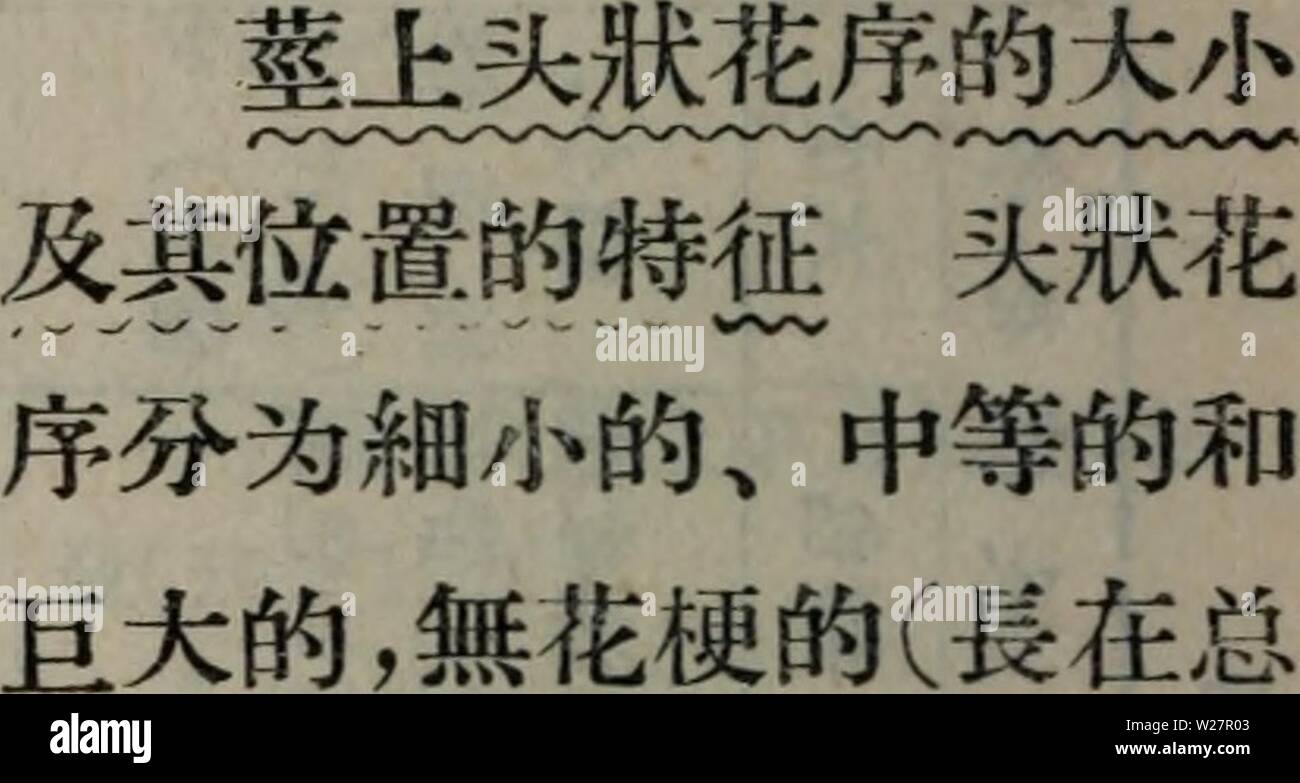 Image d'archive à partir de la page 307 de da tian yu wu zuo zuo wu. da tian Yu Zhong xue Yu Zhong zi yu xue shi fan xi z Banque D'Images