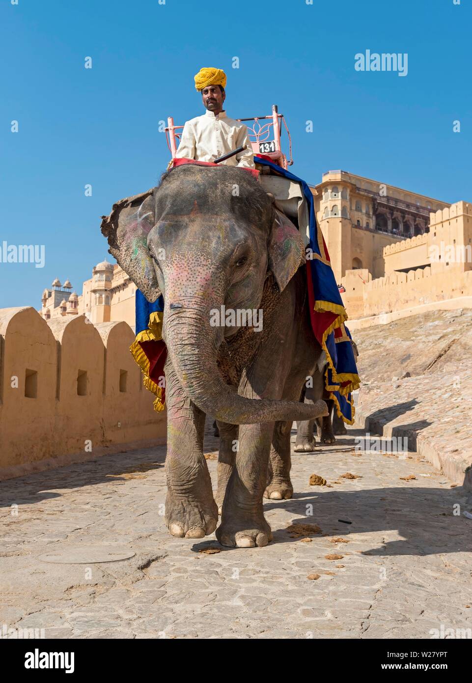 L'éléphant indien au Fort Amber, Jaipur, Rajasthan, Inde Banque D'Images