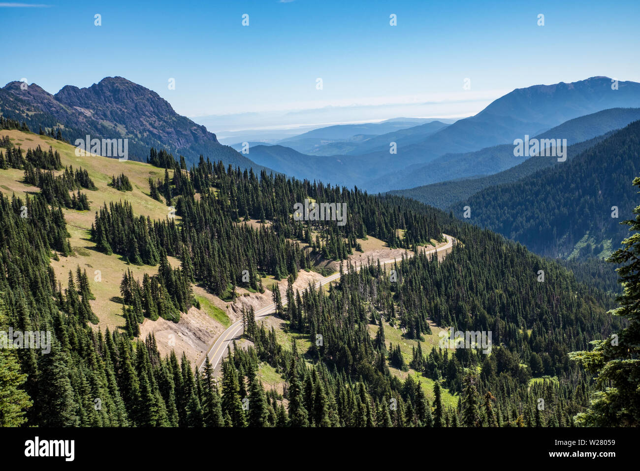 Hurricane Ridge, Olympic National Park, Washington, USA. Vue sur montagne et route à partir d'un sentier de randonnée. Banque D'Images