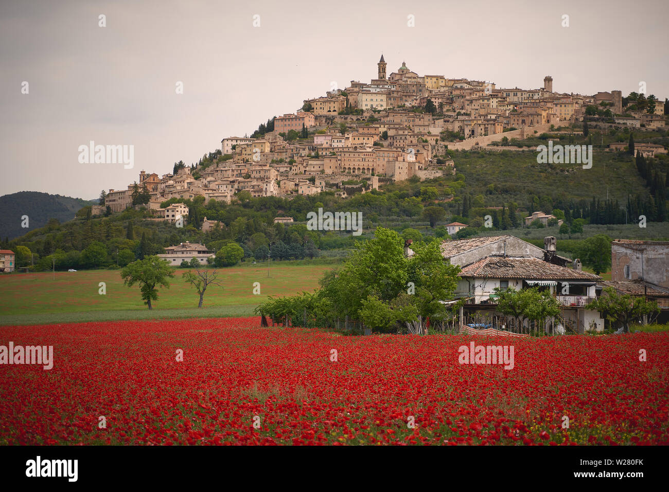 L'Ombrie, Italie - mai 2019. Vue sur la ville médiévale de Trevi avec un champ de pavot rouge sur l'avant-plan. Banque D'Images