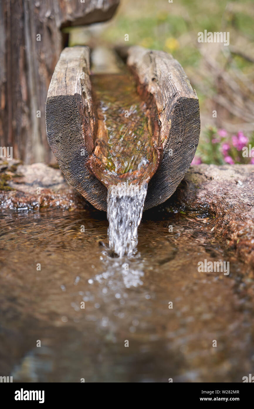 Libre de l'eau potable découlant d'une fontaine d'eau en bois dans un creux. Le format Portrait. Banque D'Images